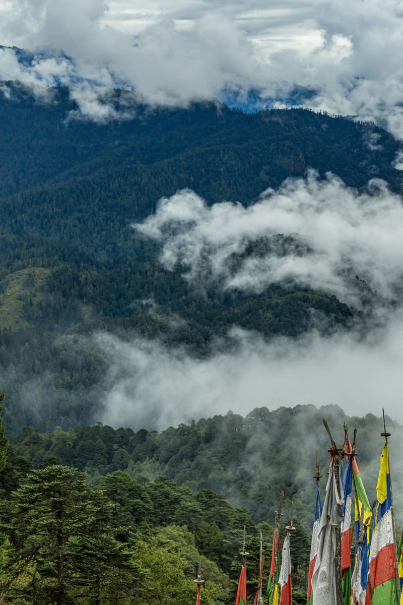 Bhutan nature journey